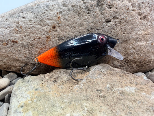 Black Orange Tail Thin Fin